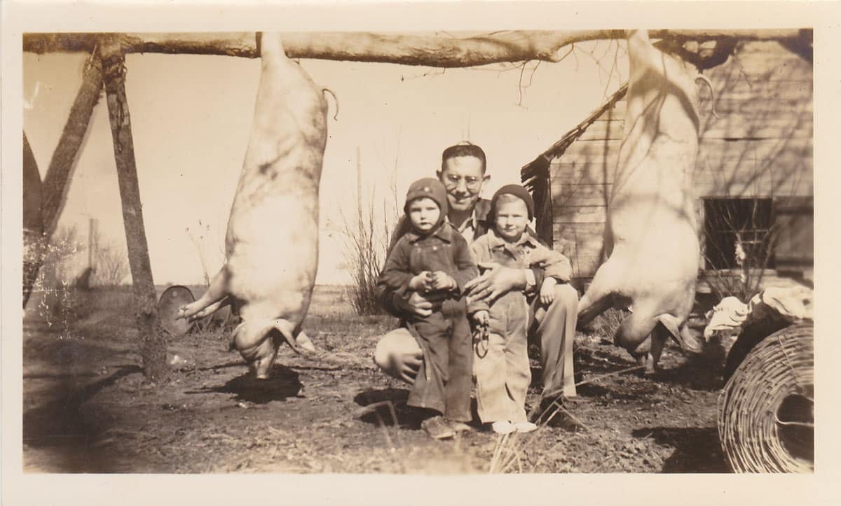 A man kneels outdoors with two young children in front of three large pigs hanging from a wooden beam; a rustic building and wire are visible in the background.