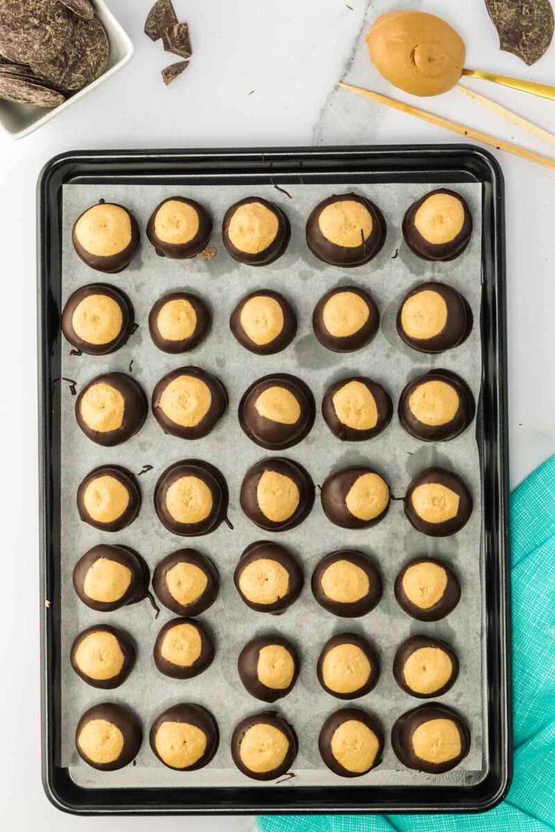 A tray of buckeye candies with peanut butter centers partially dipped in chocolate, arranged in rows on parchment paper.