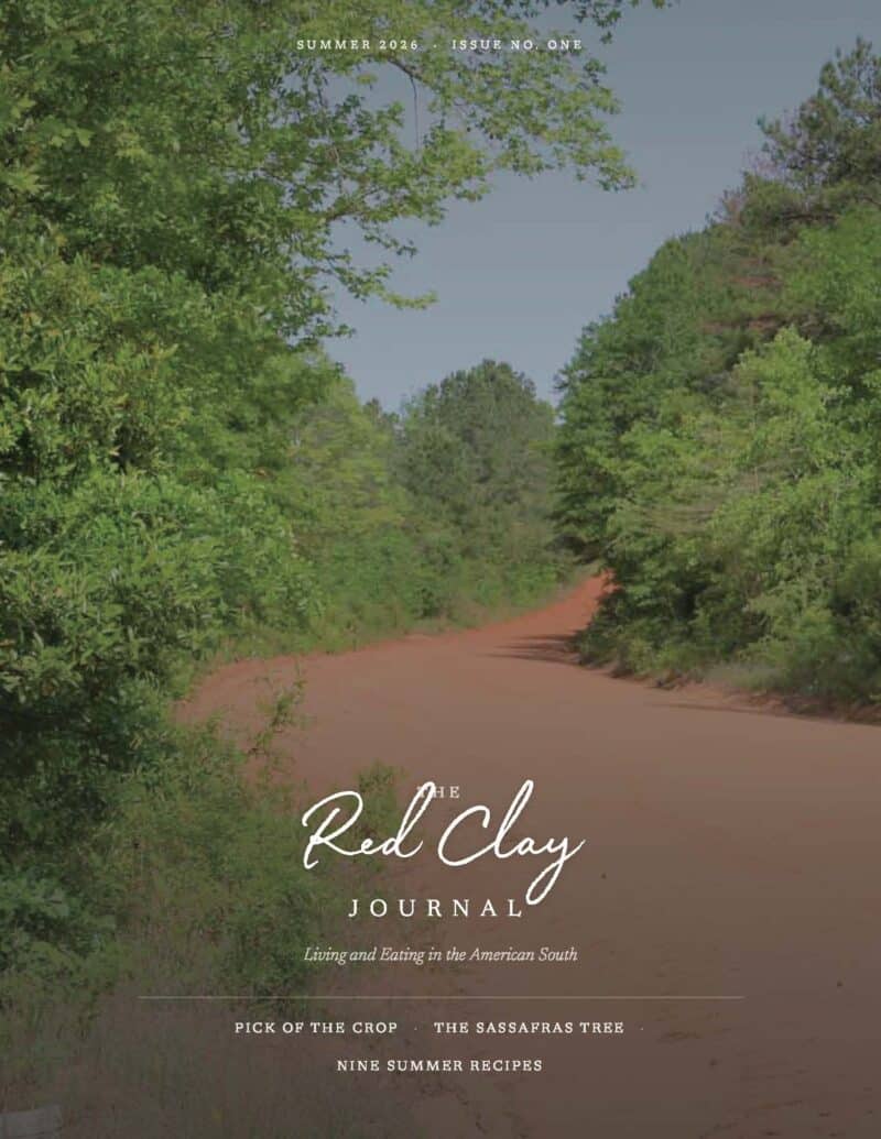 A red dirt road runs through dense green trees under a bright sky; the cover of "The Red Clay Journal" summer issue is overlaid with text about Southern living and recipes.