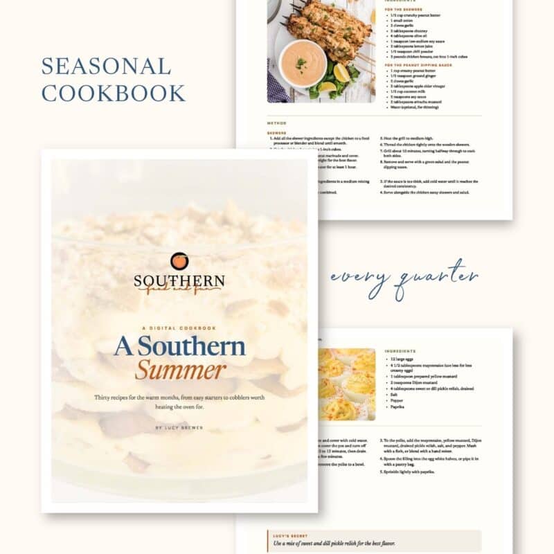 A digital cookbook titled "A Southern Summer" is shown on top of laid-out recipe pages, with headings like "Seasonal Cookbook" and "every quarter" in blue text.