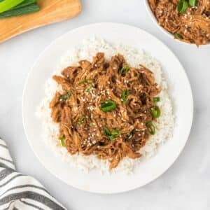 A white plate with white rice topped with shredded meat in brown sauce, garnished with sesame seeds and sliced green onions.