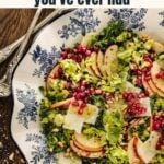 A salad with mixed greens, apple slices, pomegranate seeds, shaved cheese, and nuts is served on a patterned plate with two forks beside it.