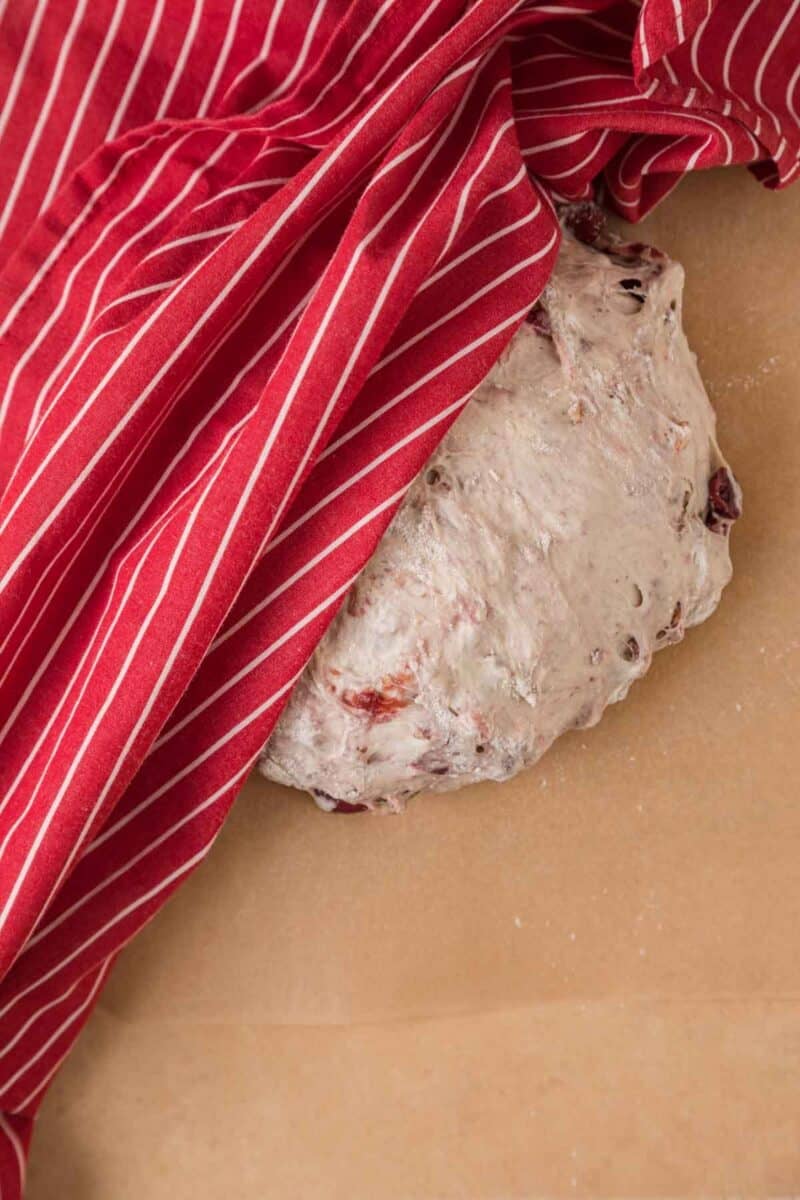 A ball of bread dough with dried fruit rests on parchment paper, partially covered by a red and white striped cloth.
