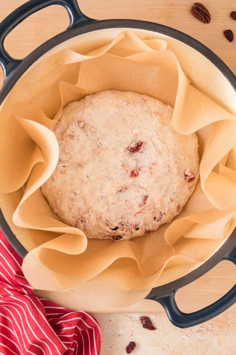 Round loaf of unbaked bread dough with cranberries and nuts sits on parchment paper in a black Dutch oven, with a red-striped cloth nearby.
