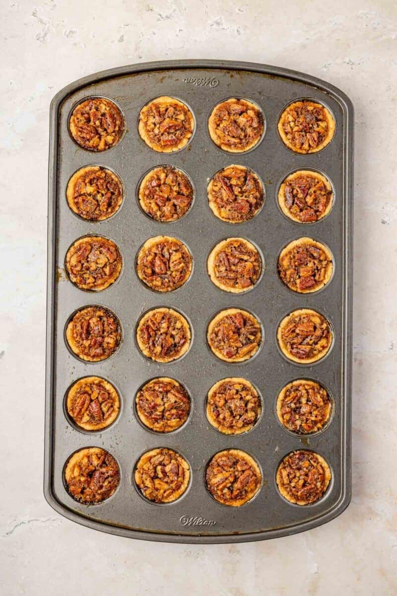 A baking tray filled with 24 mini pecan tassies, arranged in a 4 by 6 grid, on a light countertop.