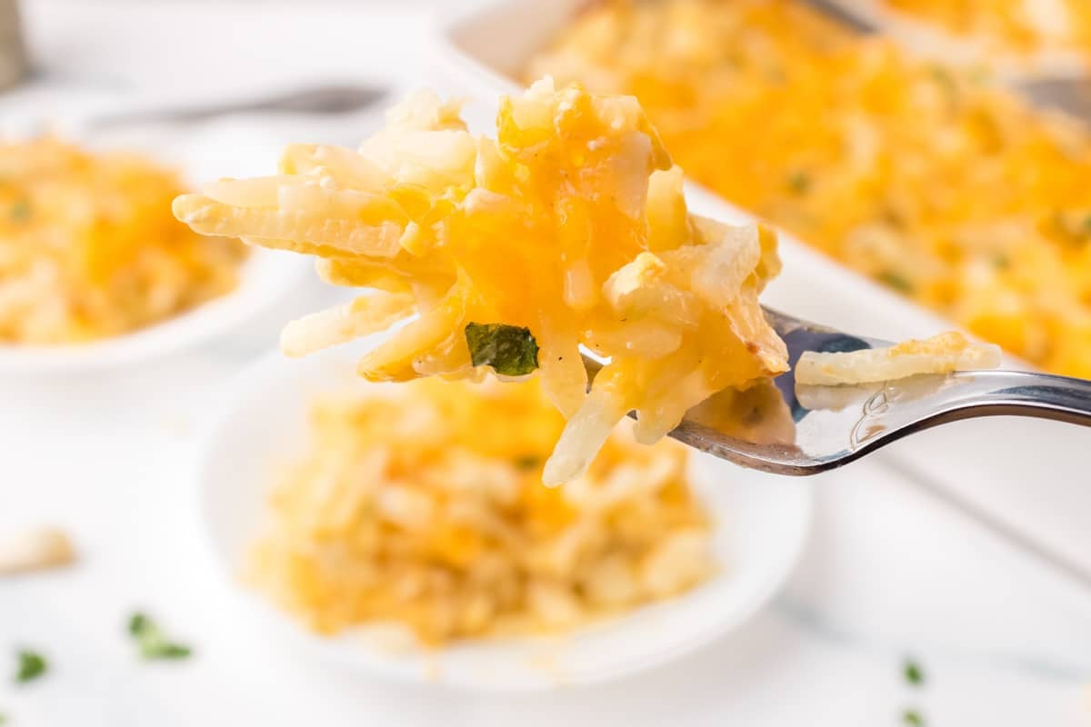 A fork holds a bite of cheesy potato casserole.